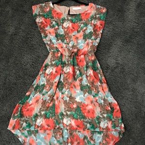 Lush Dress (S)